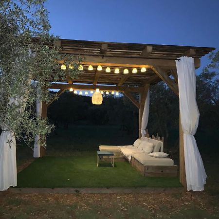 La Bergerie De Cigalon Bed & Breakfast Mouries Luaran gambar