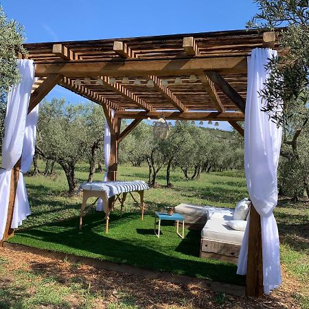 La Bergerie De Cigalon Bed & Breakfast Mouries Luaran gambar