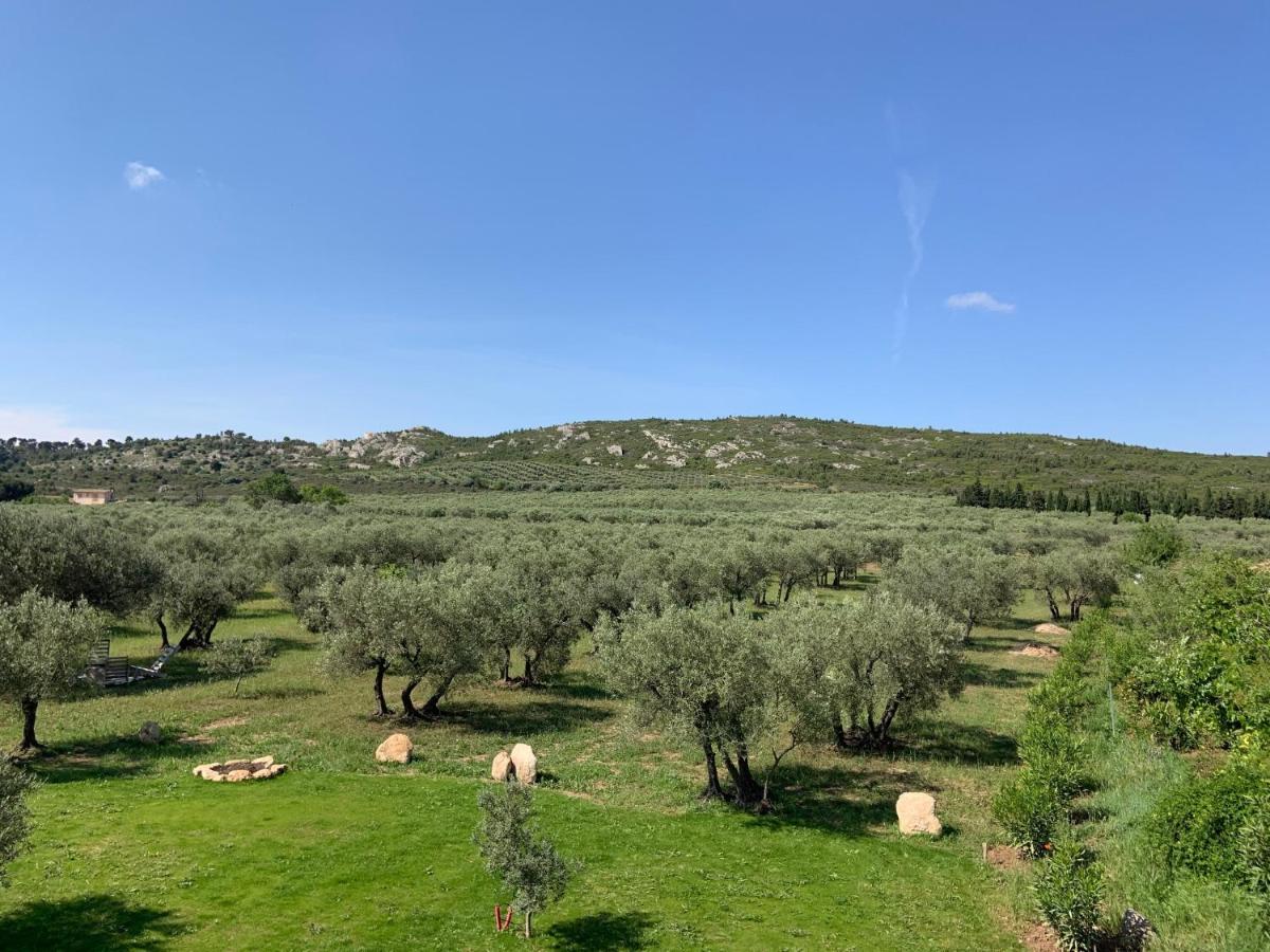 La Bergerie De Cigalon Bed & Breakfast Mouries Luaran gambar