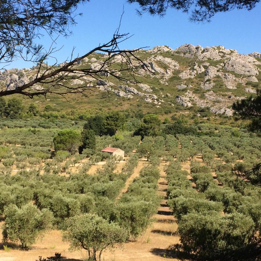 La Bergerie De Cigalon Bed & Breakfast Mouries Luaran gambar