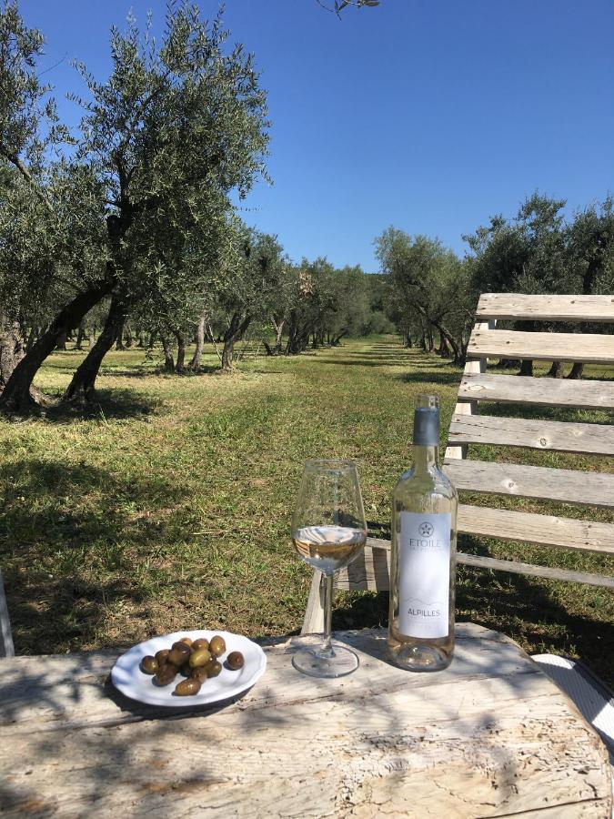 La Bergerie De Cigalon Bed & Breakfast Mouries Luaran gambar