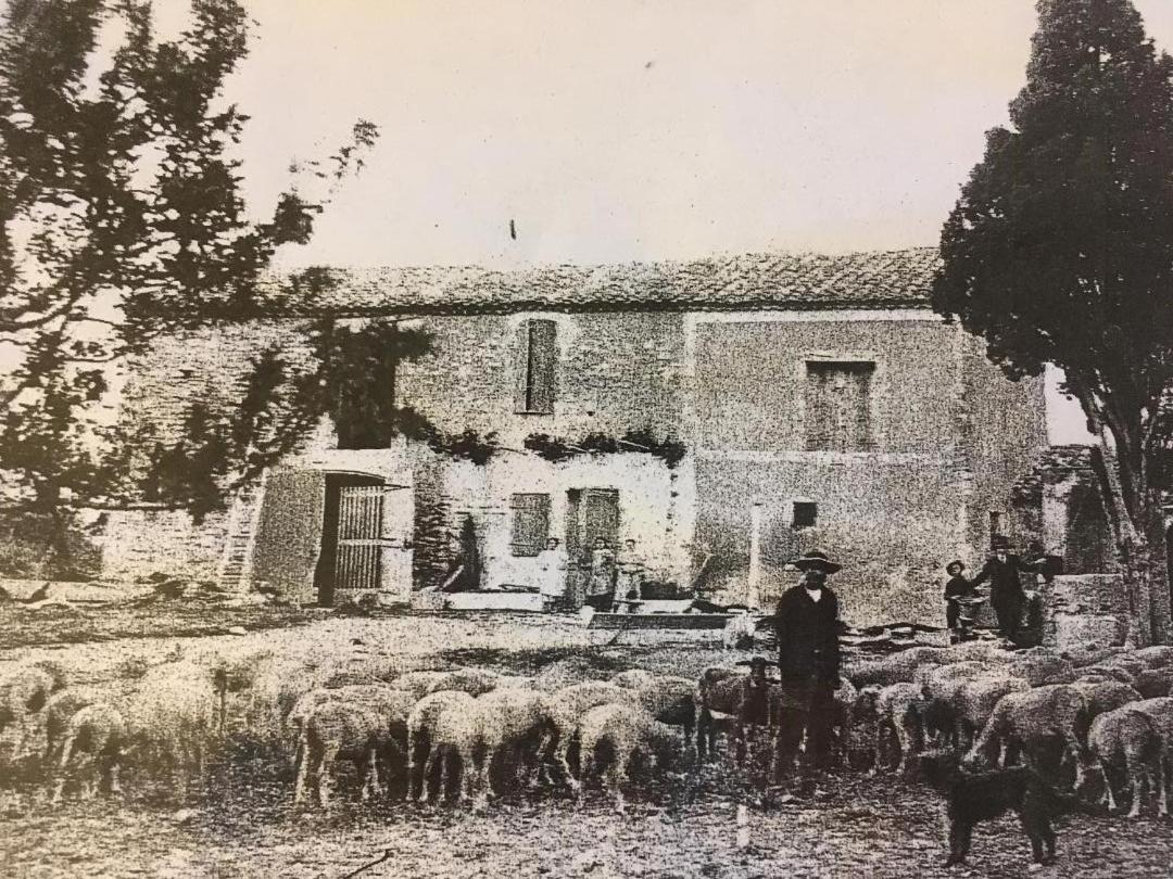 La Bergerie De Cigalon Bed & Breakfast Mouries Luaran gambar