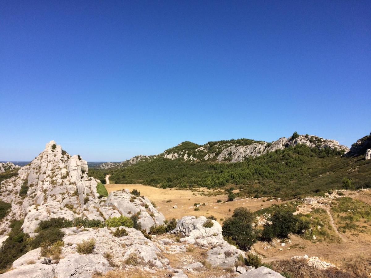 La Bergerie De Cigalon Bed & Breakfast Mouries Luaran gambar