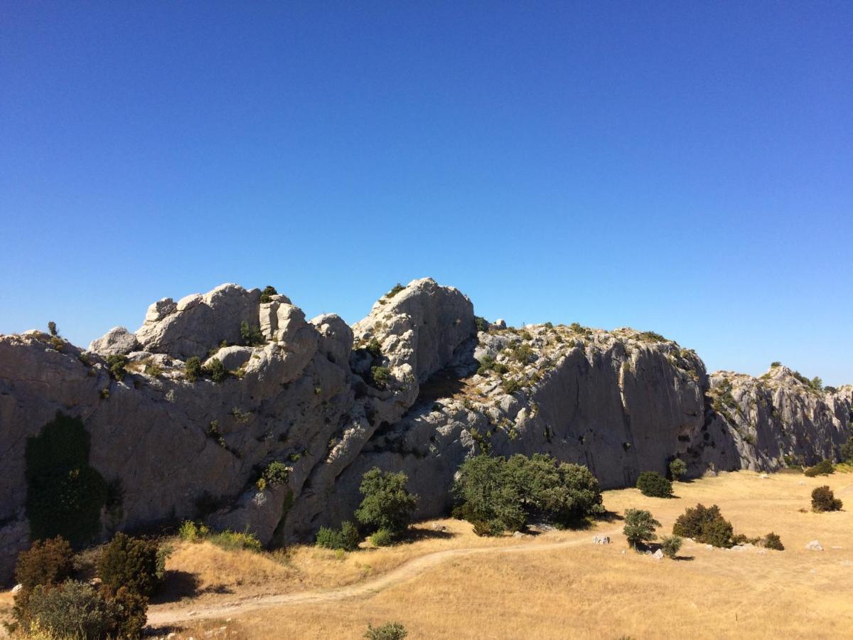 La Bergerie De Cigalon Bed & Breakfast Mouries Luaran gambar