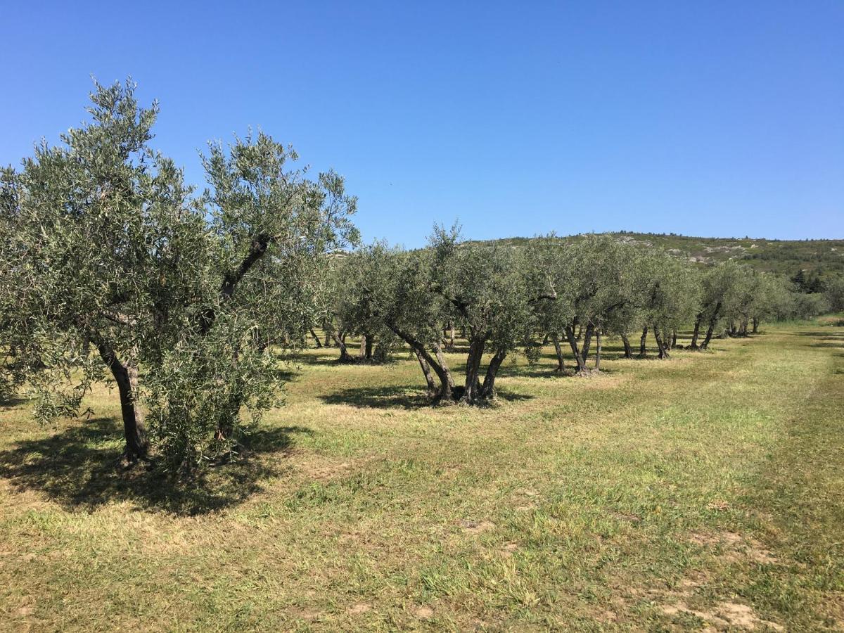 La Bergerie De Cigalon Bed & Breakfast Mouries Luaran gambar