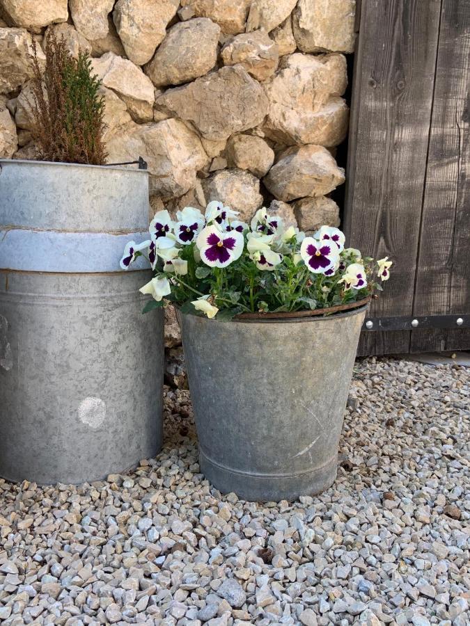 La Bergerie De Cigalon Bed & Breakfast Mouries Luaran gambar