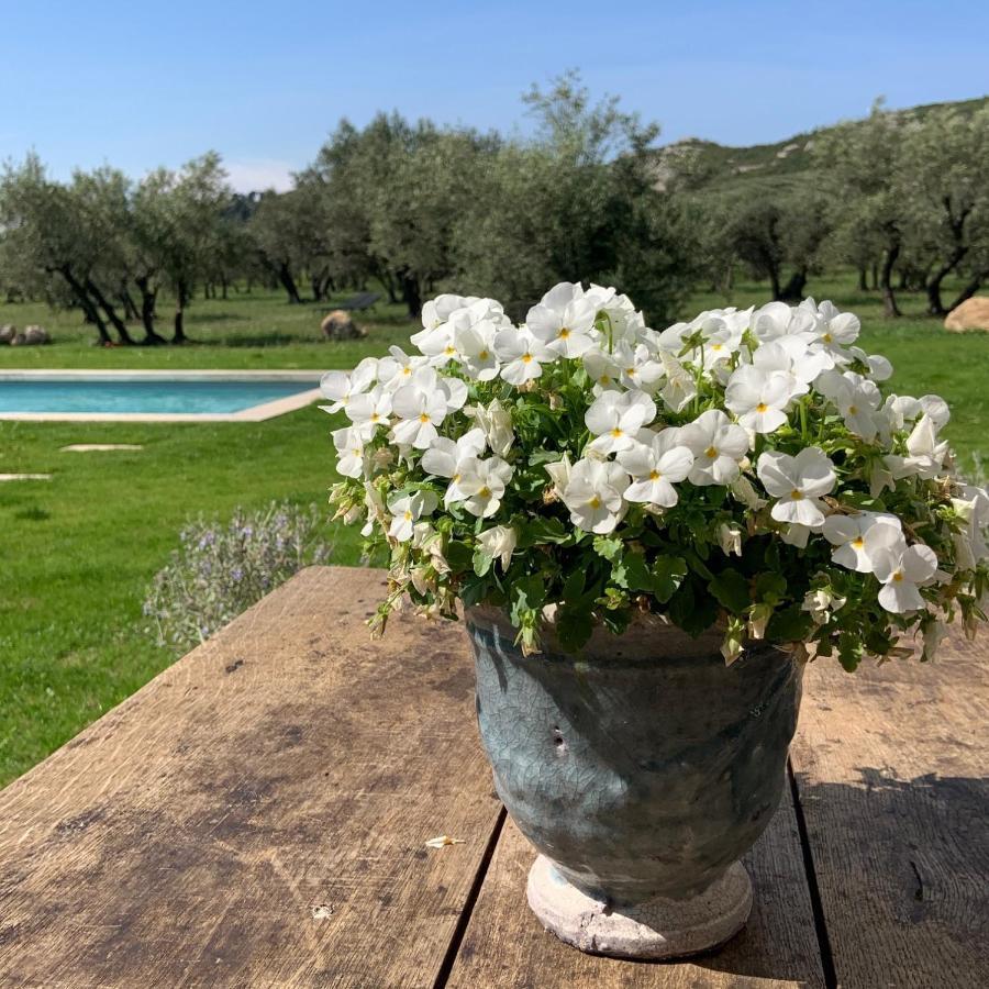 La Bergerie De Cigalon Bed & Breakfast Mouries Luaran gambar