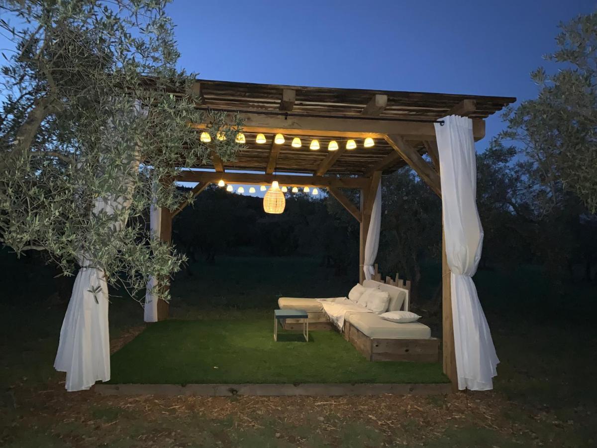 La Bergerie De Cigalon Bed & Breakfast Mouries Luaran gambar