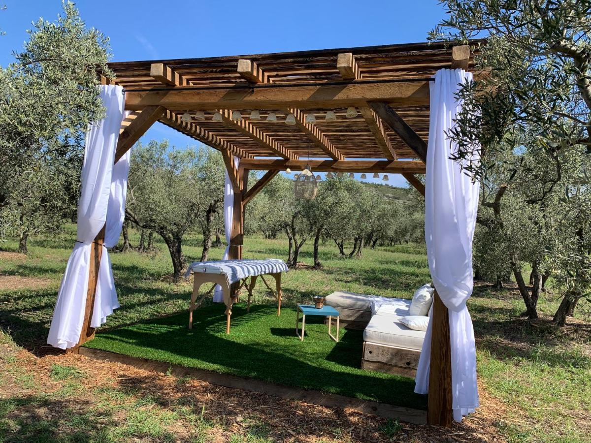 La Bergerie De Cigalon Bed & Breakfast Mouries Luaran gambar